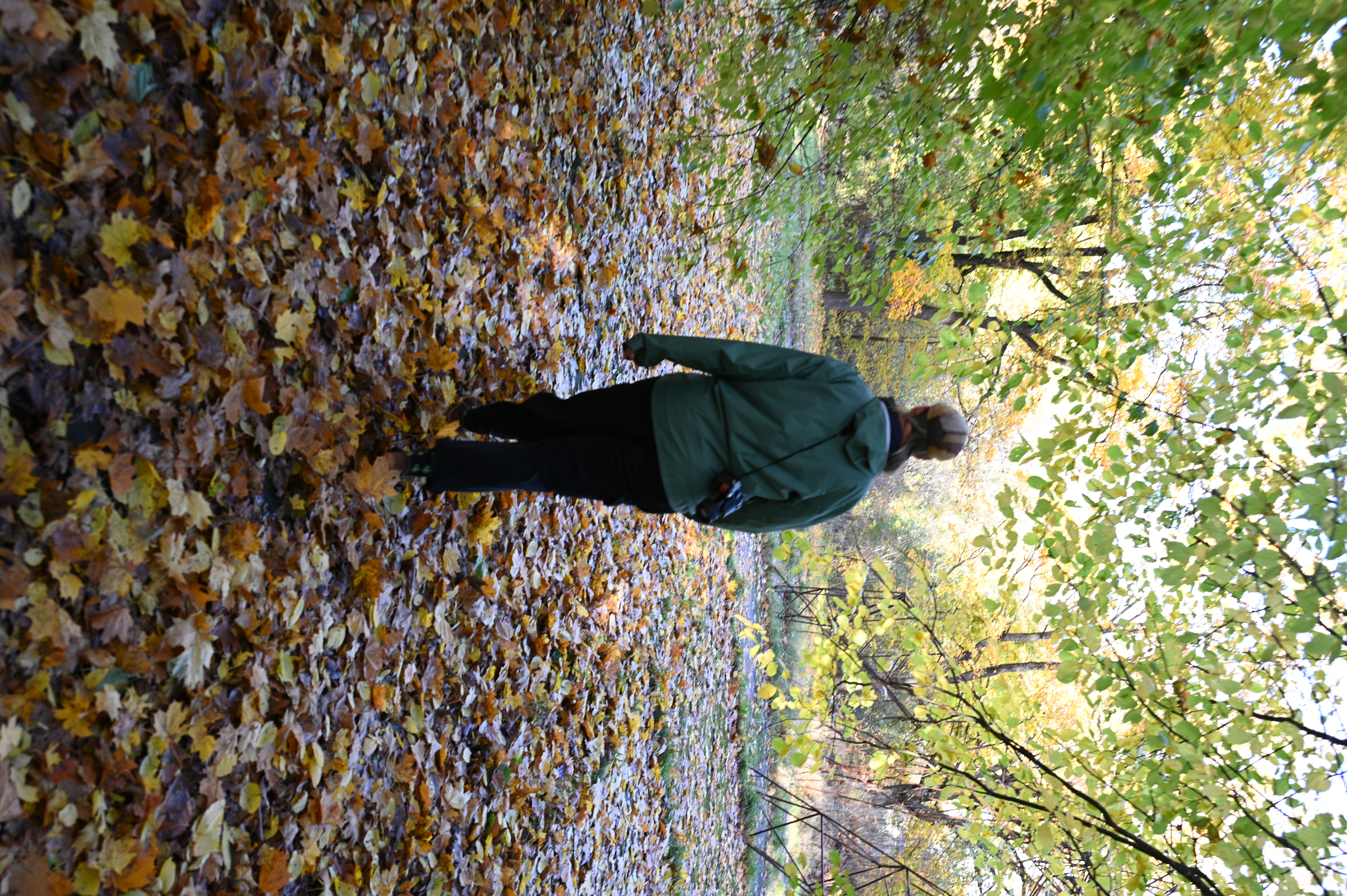 2025/10/18 - walk/DSC_0109.JPG